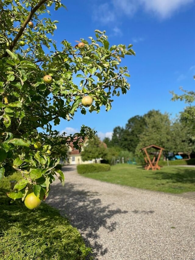 Ferienwohnung in Fehmarn OT Wulfen - Sybille Sonnenbrille - Bild 19