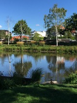Ferienwohnung in Scharbeutz - Maris Ferienwohnung Nr. 47 (OG mit Balkon und Meerblick) - Bild 25