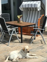 Ferienhaus in Fehmarn - The Fehmarn Lodges - OASIS - - Bild 3