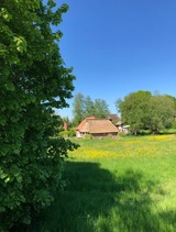 Ferienhaus in Goosefeld - Haus Lieschen - Bild 1