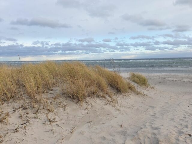 Ferienwohnung in Gr&ouml;mitz - Urlaub mit Meerblick Hanseat II App. 136 - Bild 19