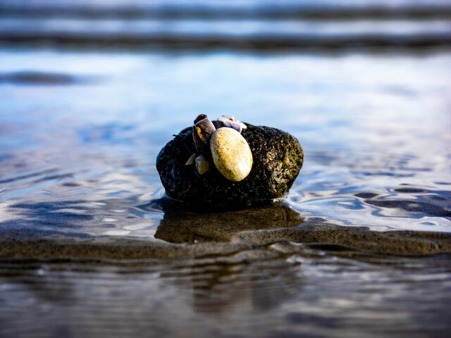 Ferienhaus in Glücksburg - Ferienhaus "Villa Meerblick" - Bild 22 Ferienhaus in Glücksburg - Ferienhaus "Villa Meerblick" - Bild 22
