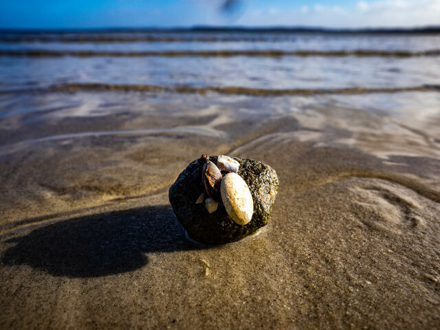 Ferienhaus in Glücksburg - Ferienhaus "Villa Meerblick" - Bild 23 Ferienhaus in Glücksburg - Ferienhaus "Villa Meerblick" - Bild 23