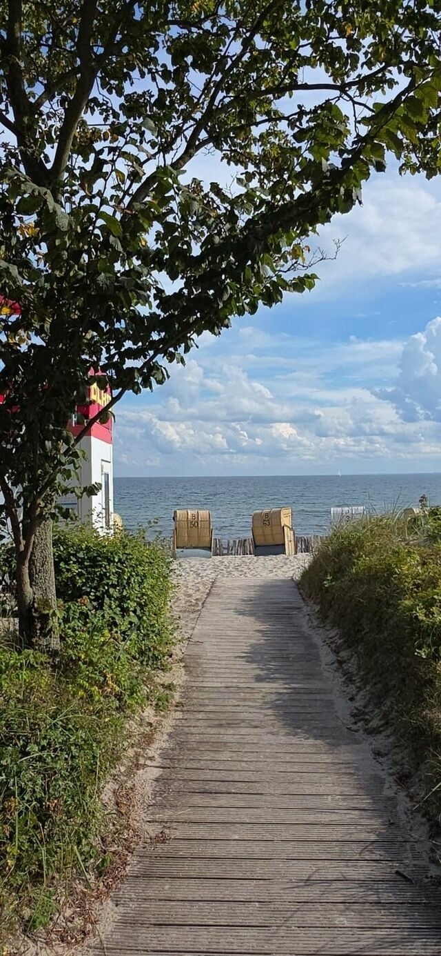 Ferienwohnung in Kellenhusen - FeWo Dietze 2-1-09 Strandappartements am Leuchturmweg - Bild 19