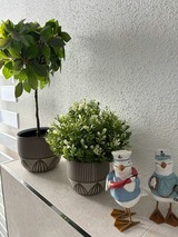 Ferienwohnung in Ostseeheilbad Zingst - Ostseem&ouml;we NEU - Bild 20