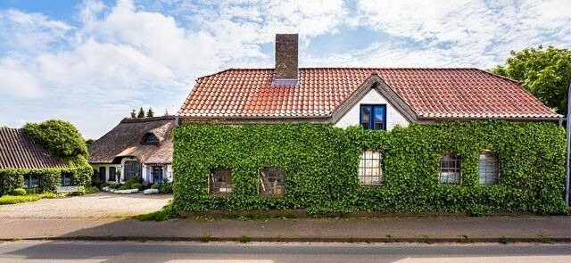 Ferienhaus in Ulsnis - Ferienhaus Alte Schmiede - Bild 12