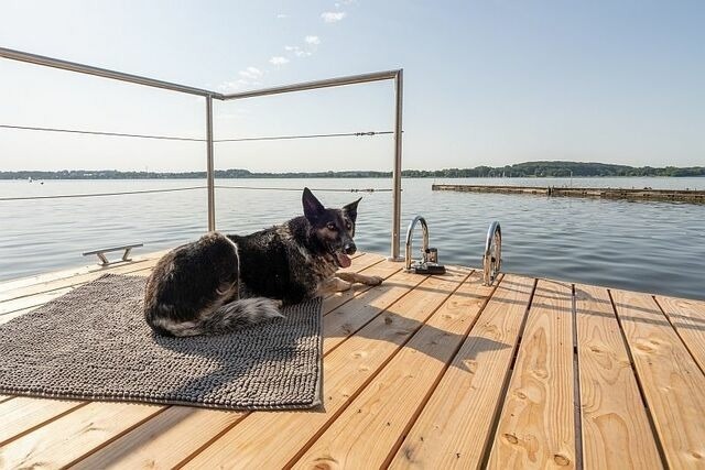 Ferienwohnung in Schleswig - Hausboot Helena - Bild 14