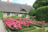 Ferienwohnung in Starkow - Ferienwohnung Rosengarten am Pfarrgarten Starkow - Bild 12