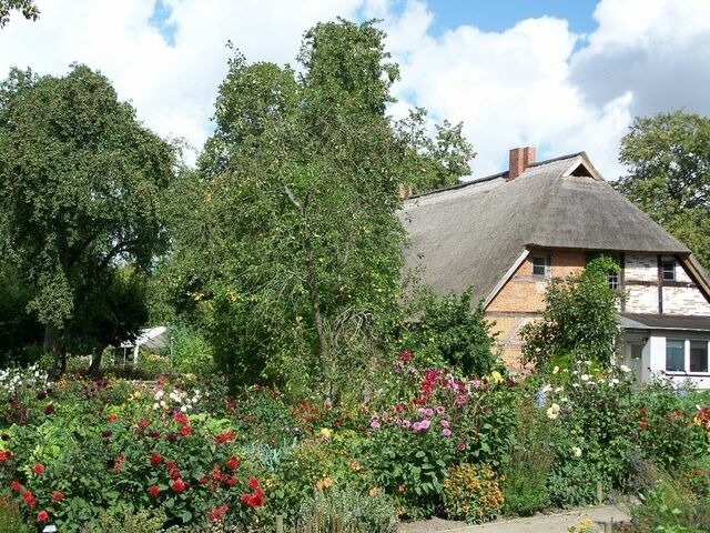 Ferienwohnung in Starkow - Ferienwohnung Apfelgarten am Pfarrgarten Starkow - Bild 9