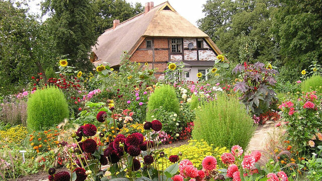 Ferienwohnung in Starkow - Ferienwohnung Irisgarten am Pfarrgarten Starkow - Bild 23