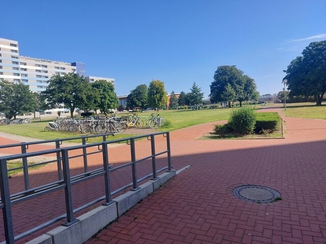 Ferienwohnung in Heiligenhafen - Sonnenaufgang - Bild 2