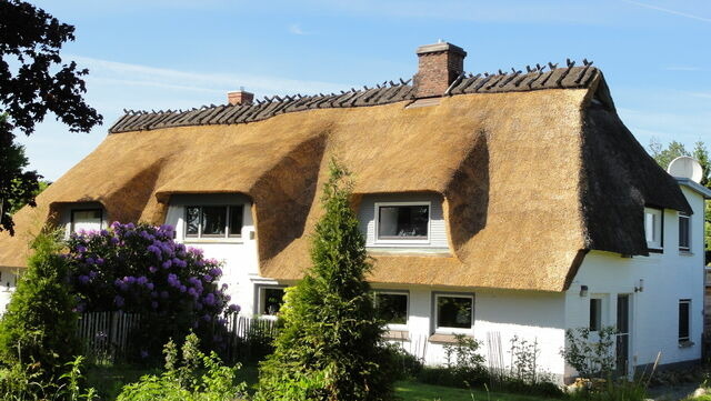 Ferienwohnung in Gelting-Niesgrau - Ferienwohnung Hafenblick Ferienhof Geltinger Bucht - Bild 8 Ferienwohnung in Gelting-Niesgrau - Ferienwohnung Hafenblick Ferienhof Geltinger Bucht - Bild 8