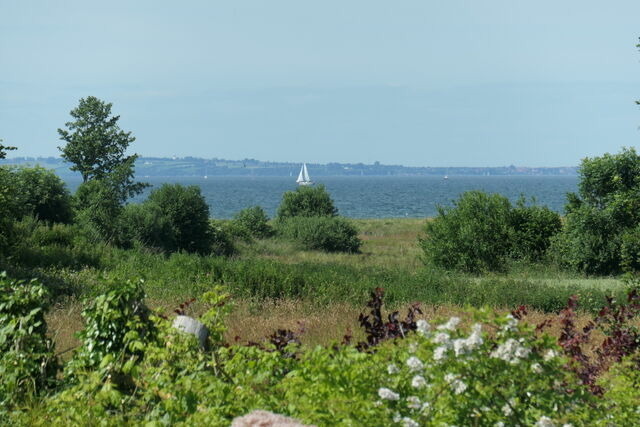 Ferienwohnung in Gelting-Niesgrau - Ferienwohnung Hafenblick Ferienhof Geltinger Bucht - Bild 19 Ferienwohnung in Gelting-Niesgrau - Ferienwohnung Hafenblick Ferienhof Geltinger Bucht - Bild 19