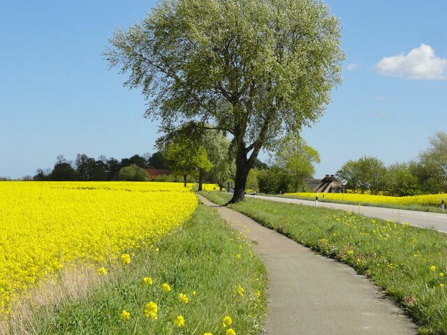 Ferienwohnung in Gelting-Niesgrau - Ferienwohnung Hafenblick Ferienhof Geltinger Bucht - Bild 23 Ferienwohnung in Gelting-Niesgrau - Ferienwohnung Hafenblick Ferienhof Geltinger Bucht - Bild 23