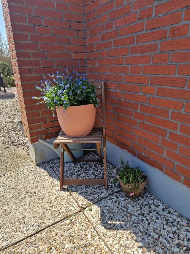 Ferienwohnung in Fehmarn - Haus Fehmarn am Dorfteich | Wohnung 1 Süd - Bild 23