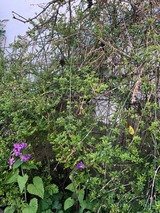 Ferienwohnung in Gr&ouml;mitz - Haus Frauken - Wohnung Thal - Bild 14