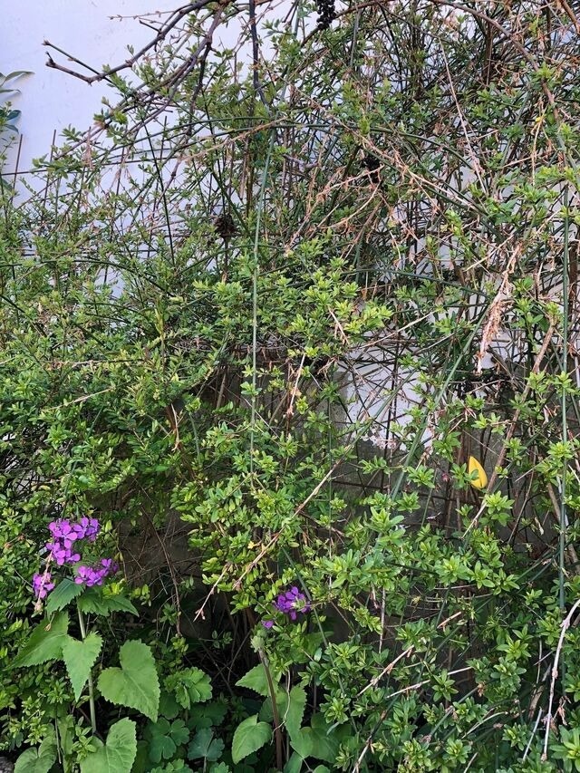 Ferienwohnung in Gr&ouml;mitz - Haus Frauken - Wohnung Thal - Bild 14