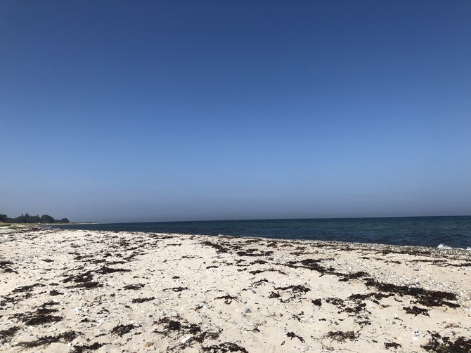 Ferienhaus in Fehmarn OT Gammendorf - Feriendomizil SeeSand 2 - Gammendorfer Strand Ferienhaus in Fehmarn OT Gammendorf - Feriendomizil SeeSand 2 - Gammendorfer Strand