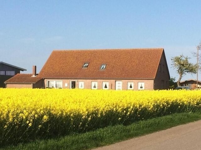 Ferienwohnung in Fehmarn OT Westerbergen - An der alten Pappel Nr. 3 - Bild 10
