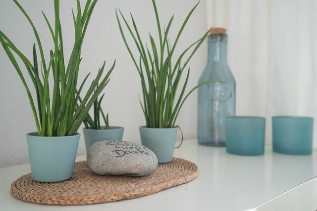 Ferienwohnung in Grömitz - Strandschloss Wohnung 40 - Bild 14 Ferienwohnung in Grömitz - Strandschloss Wohnung 40 - Bild 14