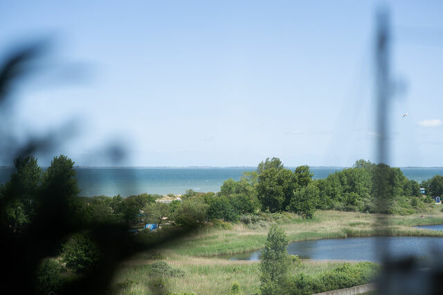 Ferienwohnung in Heiligenhafen - Haus Aquamarina Meeresschimmern 59 - Bild 8