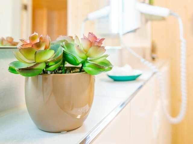 Ferienwohnung in Kellenhusen - Im Sonnengarten Erholungsoase - Bild 21