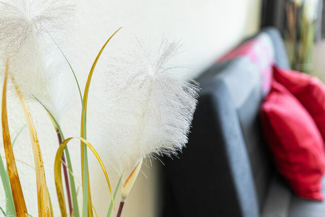 Ferienwohnung in Laboe - Probsteier Platz Meeresbrise - Bild 8