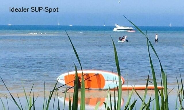 Ferienwohnung in Wendtorf - K&uuml;stenschwalbe - Bild 20