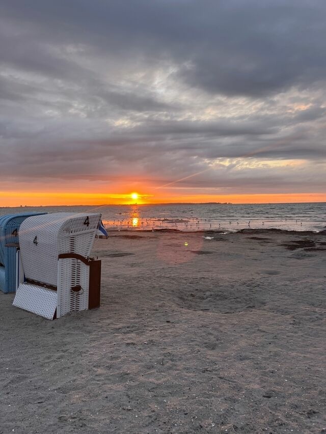 Ferienwohnung in Wendtorf - Ostseeblick - Bild 20 Ferienwohnung in Wendtorf - Ostseeblick - Bild 20