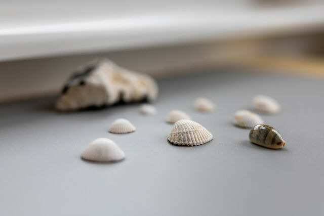 Ferienwohnung in Sch&ouml;nberg - Strandkorb - Bild 7