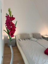 Ferienhaus in Timmendorfer Strand - Sealect-Hus 1 Timmendorfer Strand, Hauptstr. 4f - Bild 12