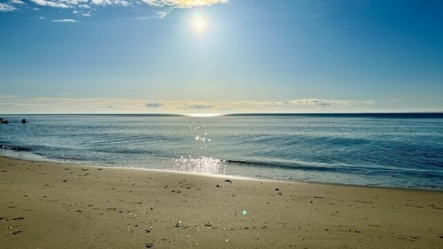 Ferienwohnung in Schönwalde - Wolkenkratzersuite - Bild 16