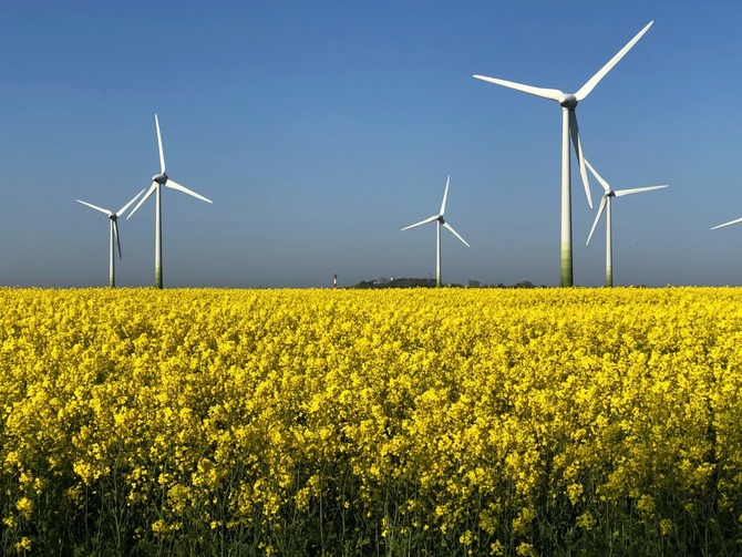 Ferienwohnung in Fehmarn OT Burg - Aura - Bild 8