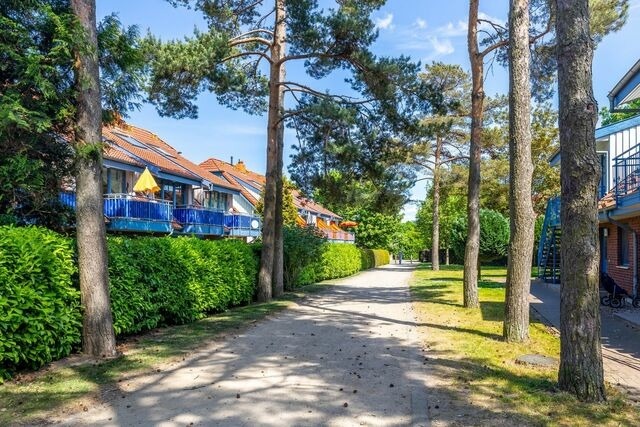 Ferienwohnung in Boltenhagen - Papillon 9-8 Wohnung "Ostseekoje" - Bild 24