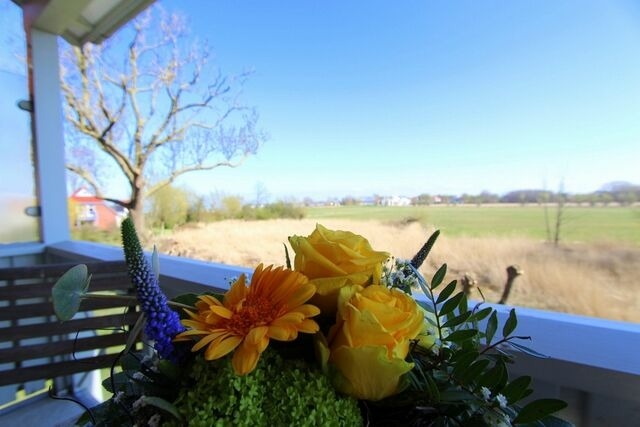 Ferienwohnung in Boltenhagen - Hs. am Weidengrund Whg. 8 - Bild 7