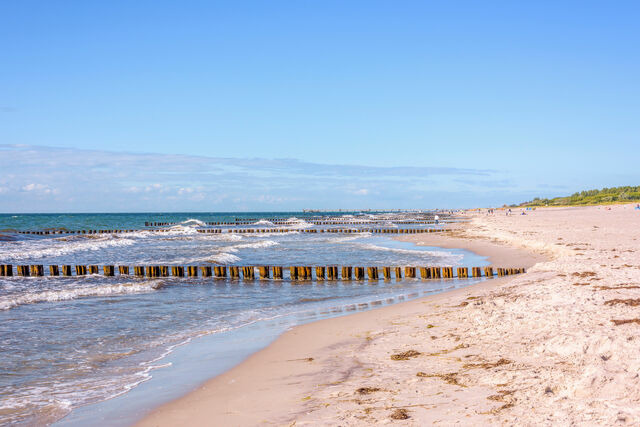 Ferienwohnung in Wustrow - &Ouml;vern Dieck - Bild 19