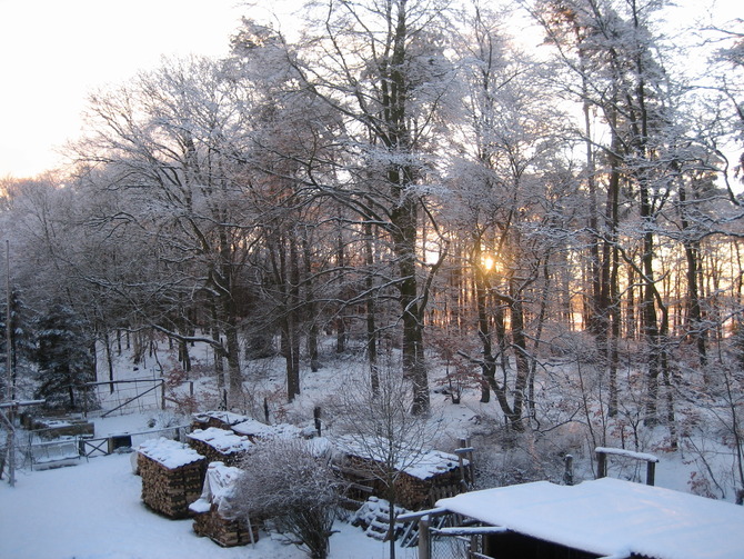 Ferienwohnung in Rostock - Ferienwohung Ostseewald - Bild 13