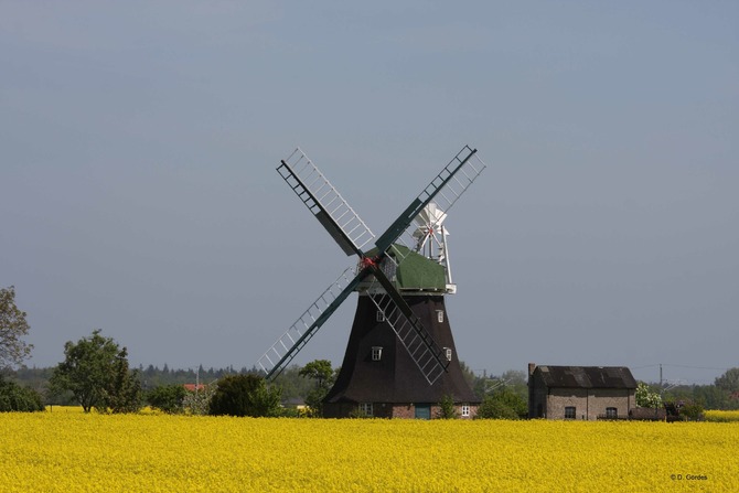 Ferienwohnung in Rostock - Ferienwohung Ostseewald - Bild 24