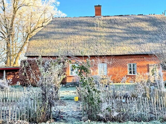Ferienwohnung in Bad Kleinen - Kutscherremise Gut Niendorf - ABC592 - nur Ferieng&auml;ste! - Bild 25