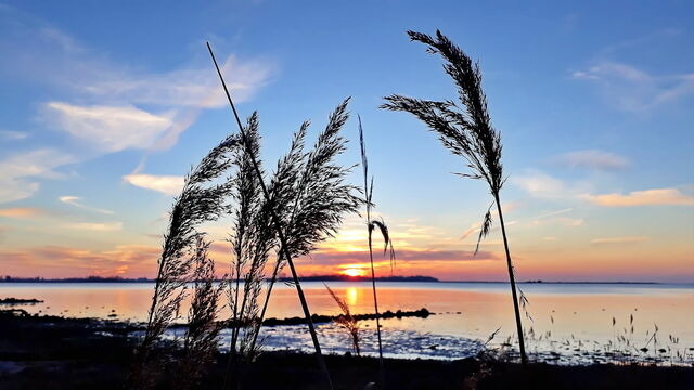 Ferienhaus in Boiensdorf - Ferienhaus Meeresrauschen am Salzhaff - ABC582 - Bild 23