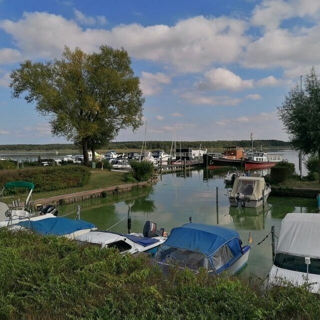 Ferienhaus in Bad Kleinen - Ferienhaus Villa Seeblick - ABC223 - Bild 21