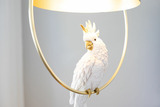 Ferienwohnung in Sellin - Ostseeland - Bild 5