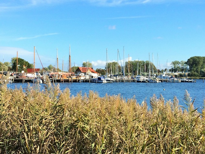 Ferienwohnung in Gollwitz - Spatzennest - Hafen von Kirchdorf