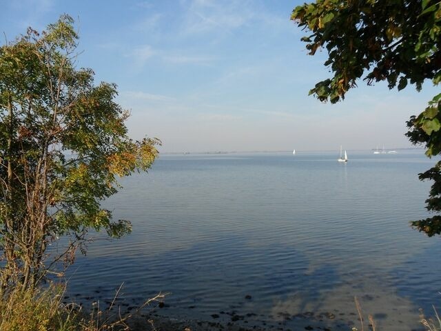Ferienwohnung in Insel Poel - FeWo Ultima Poel an der Ostsee - ABC367 - nur Ferieng&auml;ste! - Bild 21