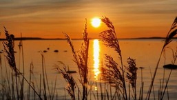 Ferienhaus Ostseebodden