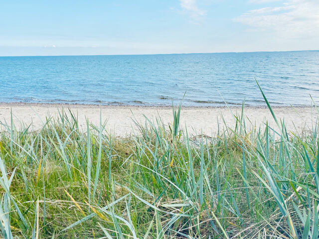 Ferienwohnung in Maasholm - Strandgaard - Bild 17