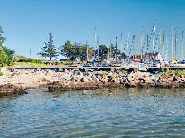 Ferienwohnung in Maasholm - Strandgaard - Bild 22